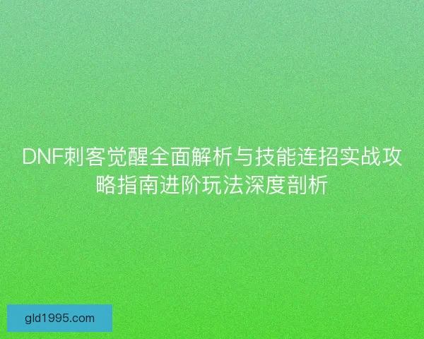 DNF刺客觉醒全面解析与技能连招实战攻略指南进阶玩法深度剖析